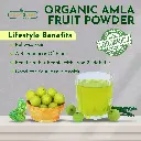AMLA 02_1.webp