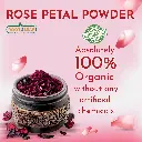 rose 02.webp