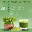 barley 02.webp