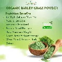 barley 03.webp