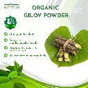 giloy 03.webp