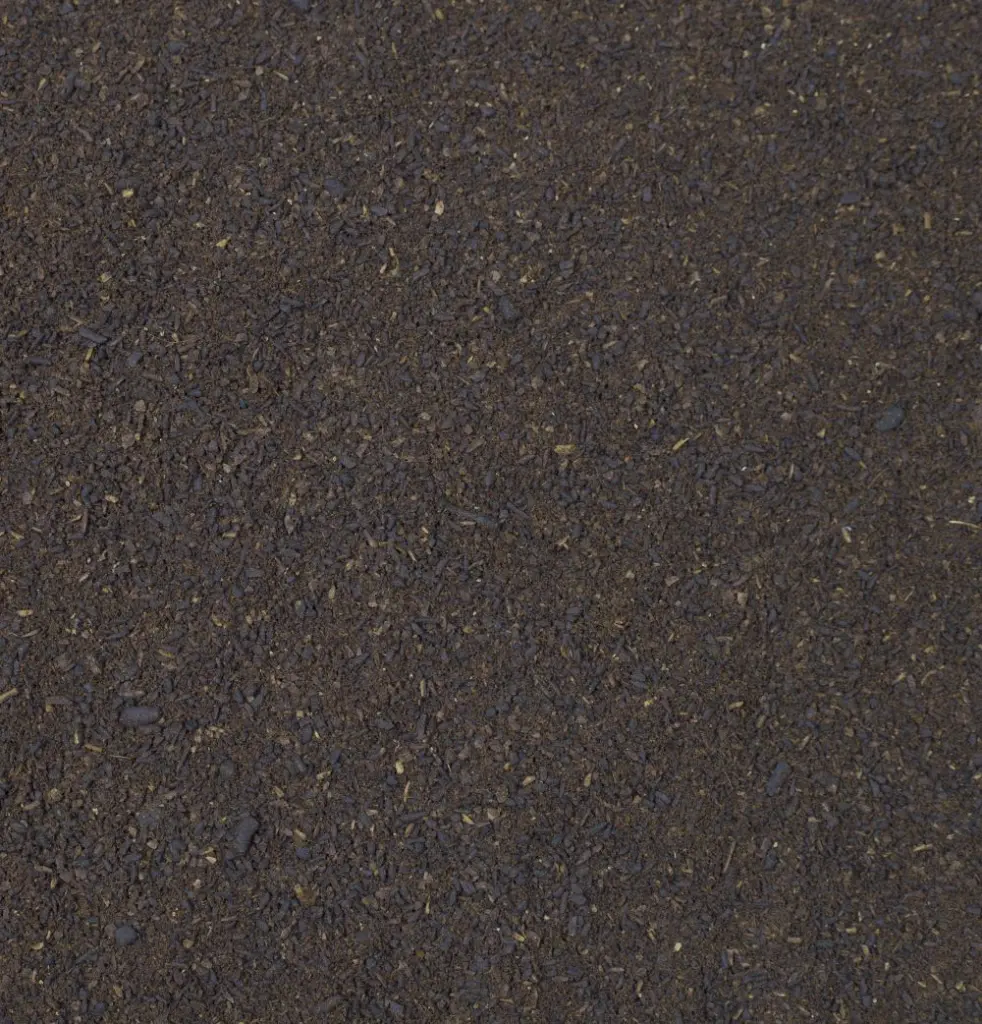 clove1.webp