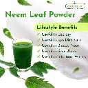 neem leaf 03.webp