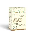 Soapnut.webp