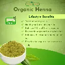 henna 03_1.webp