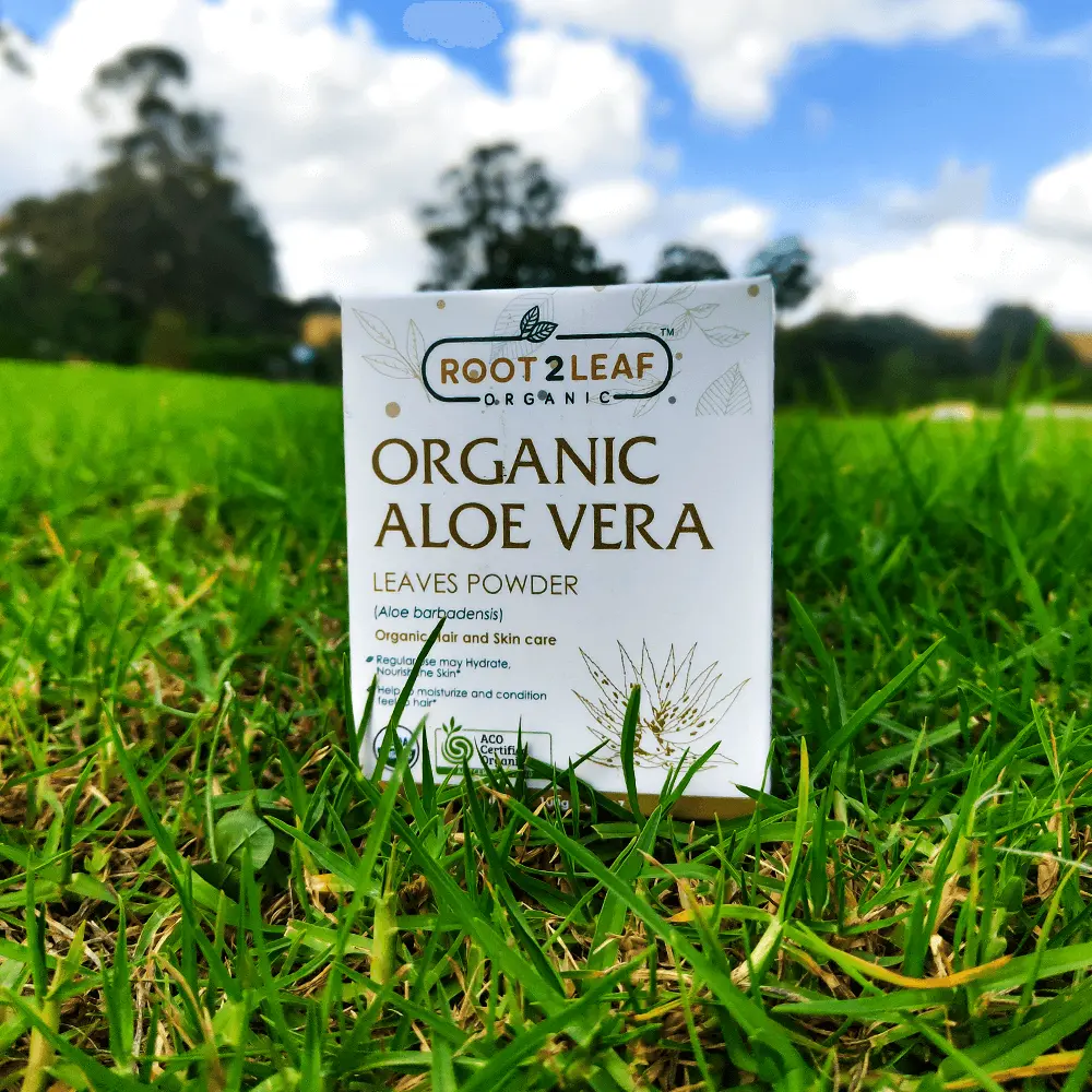 aloe.webp