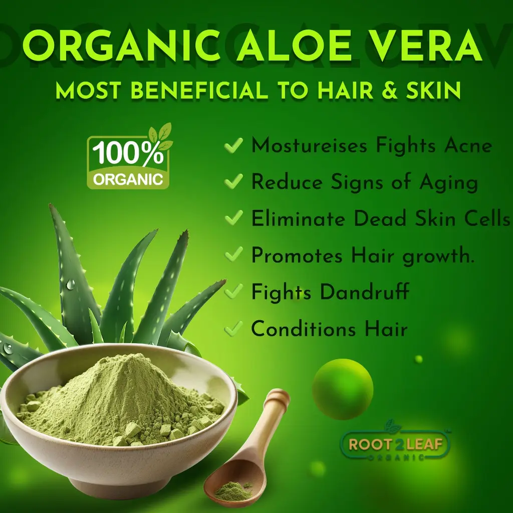 Aloe vera 02.webp