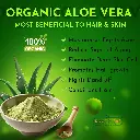 Aloe vera 02.webp