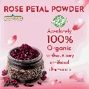 rose 02.webp