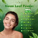 neem leaf 05.webp