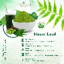neem leaf 02.webp