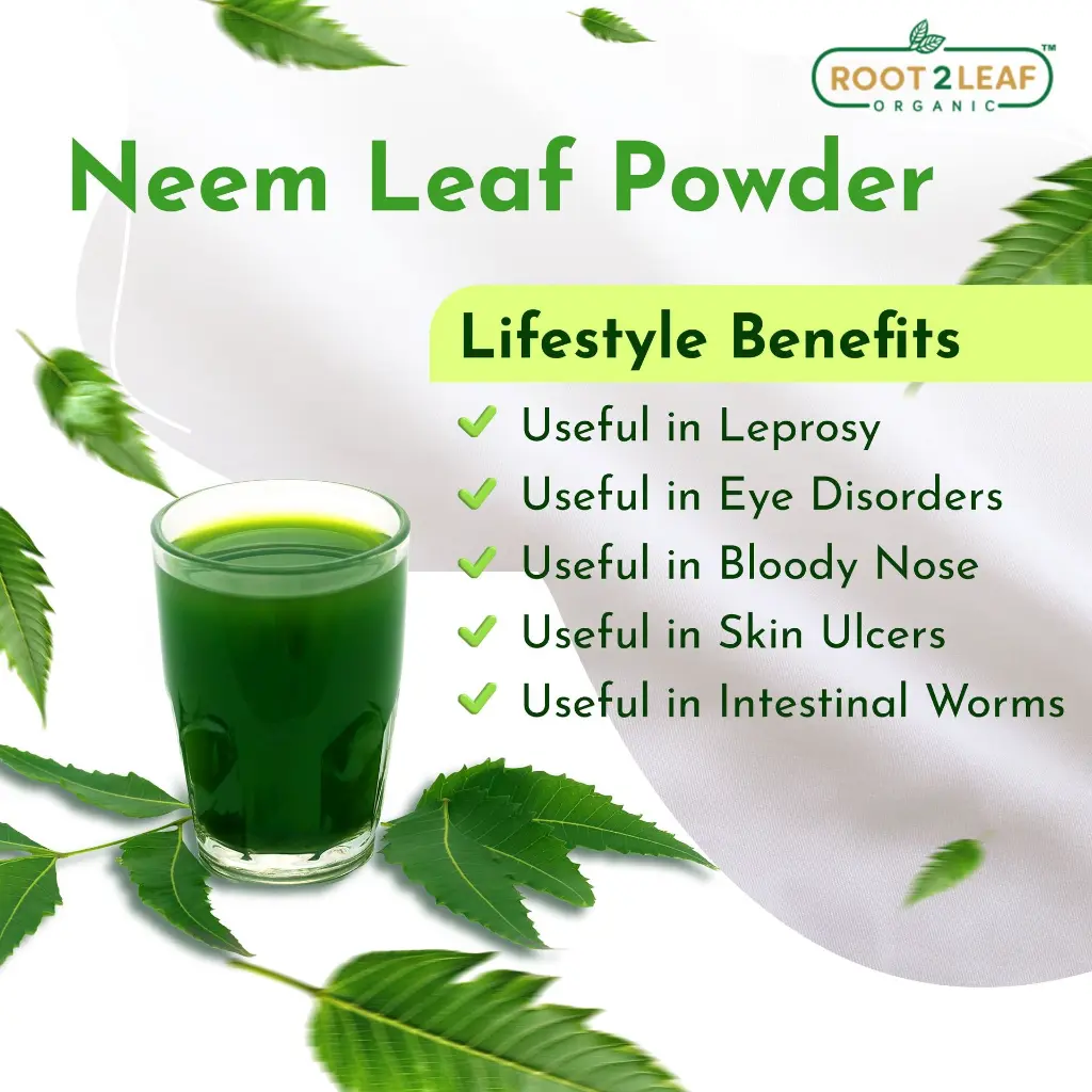neem leaf 03.webp