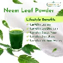 neem leaf 03.webp