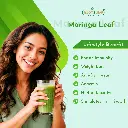 moring 04.webp