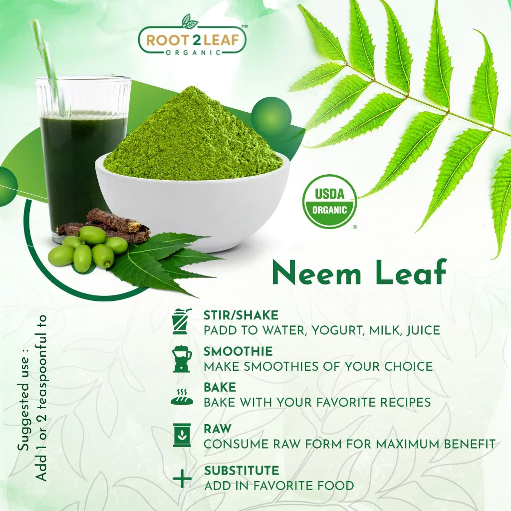 neem leaf 02.webp
