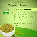 henna 03_1.webp