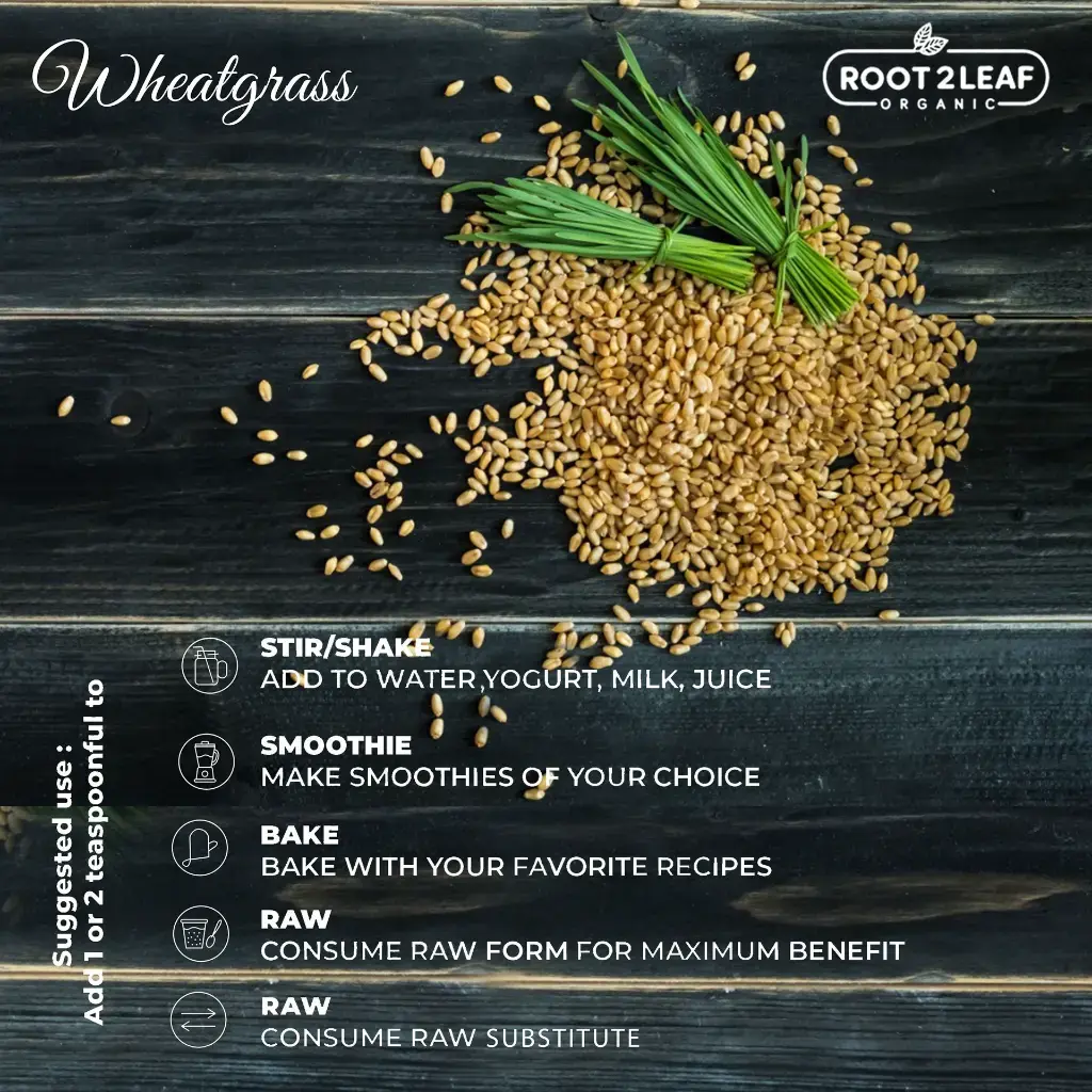 wheat-uses.webp