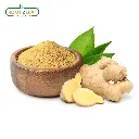 ginger (2).webp