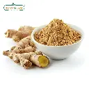 ginger (1).webp