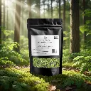 Gemini_Generated_Image_spytd8spytd8spyt (1).webp