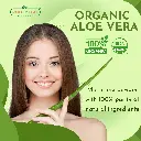 ale vera 03.webp