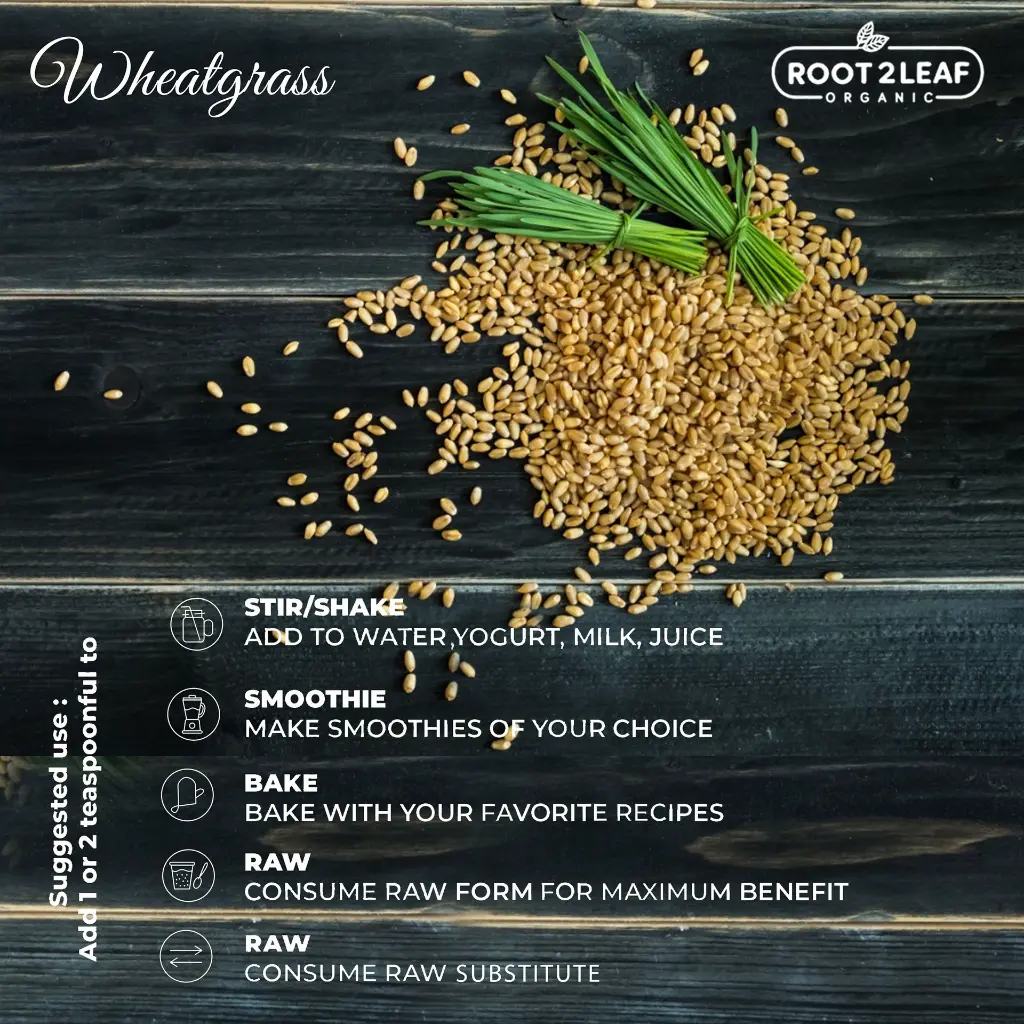 wheat-uses.webp