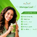 moring 04.webp