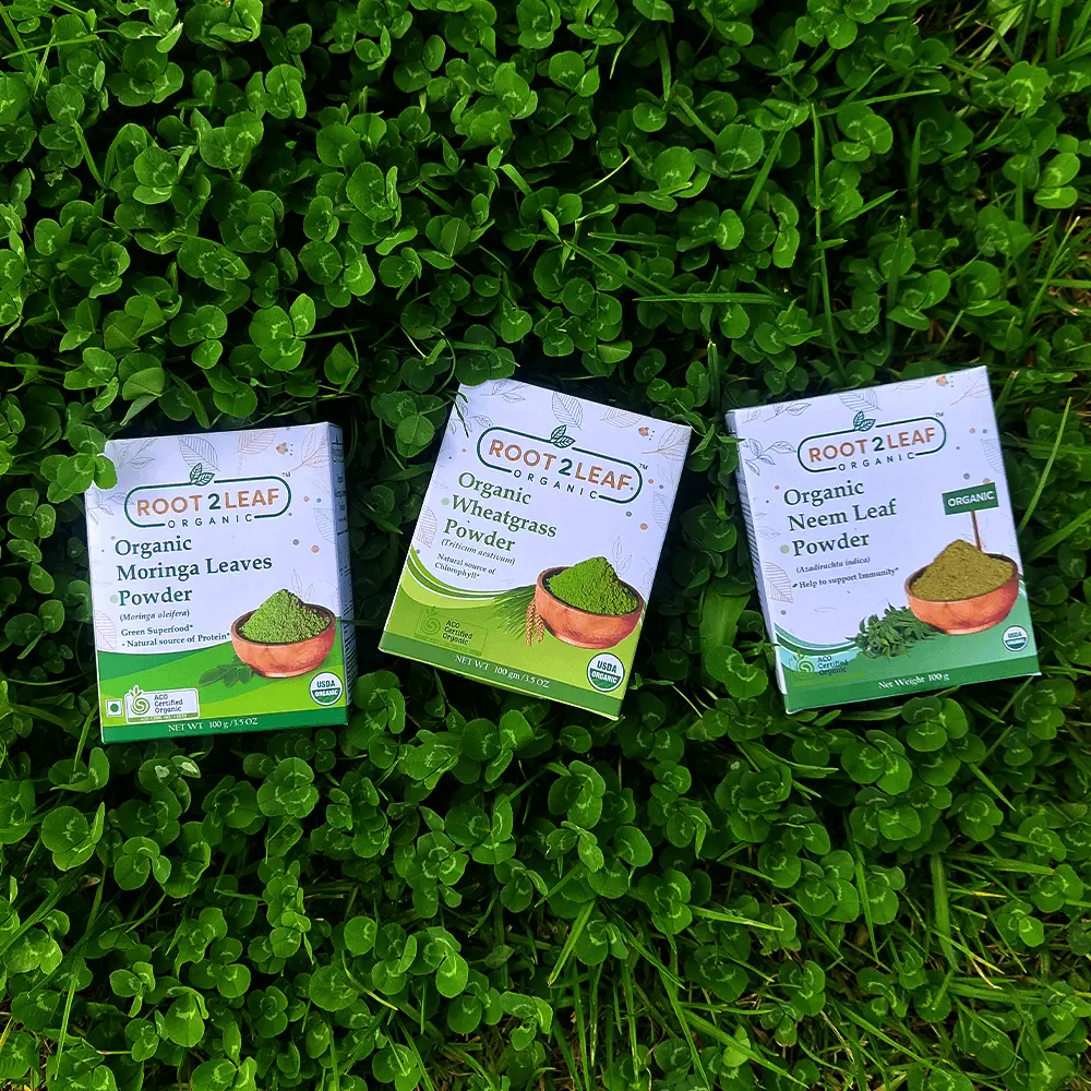 Root2Leaf Organic Pack of 3 Moringa Leaf Powder & Wheat Grass Powder & Neem Leaf Powder (100g)
