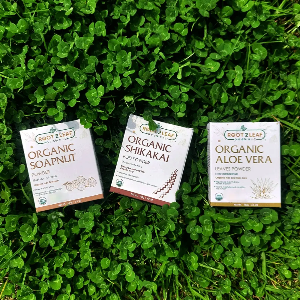 Root2Leaf Organic Pack of 3 Soapnut Powder &  Aloe Vera Leaves Powder & Shikakai Pod Powder  (100g)
