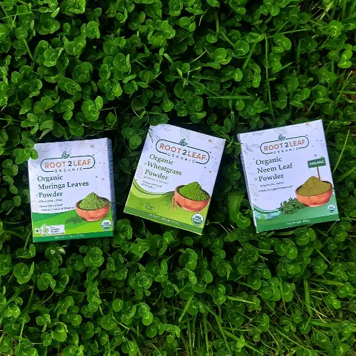 Root2Leaf Organic Pack of 3 Moringa Leaf Powder & Wheat Grass Powder & Neem Leaf Powder (100g)