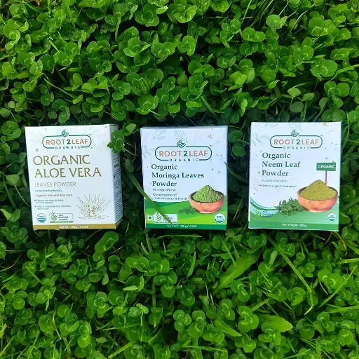 Root2Leaf Organic Pack of 3 Moringa Leaf Powder &   Aloe Vera Leaves Powder & Neem Leaf Powder (100g)