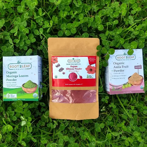 Root2Leaf Organic Pack of 3 Moringa Leaf Powder & Hibiscus Powder &  Amla Powder (100g)