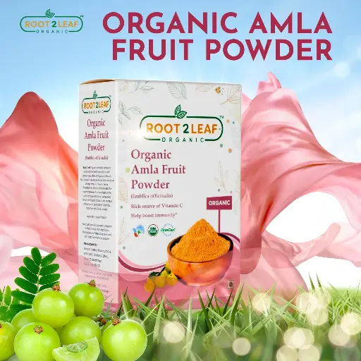 Organic Amla Fruit Powder 227g 
